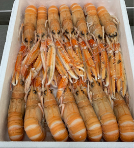 Whole Scottish Langoustine (12-15 Langoustine per 1.35kg box)