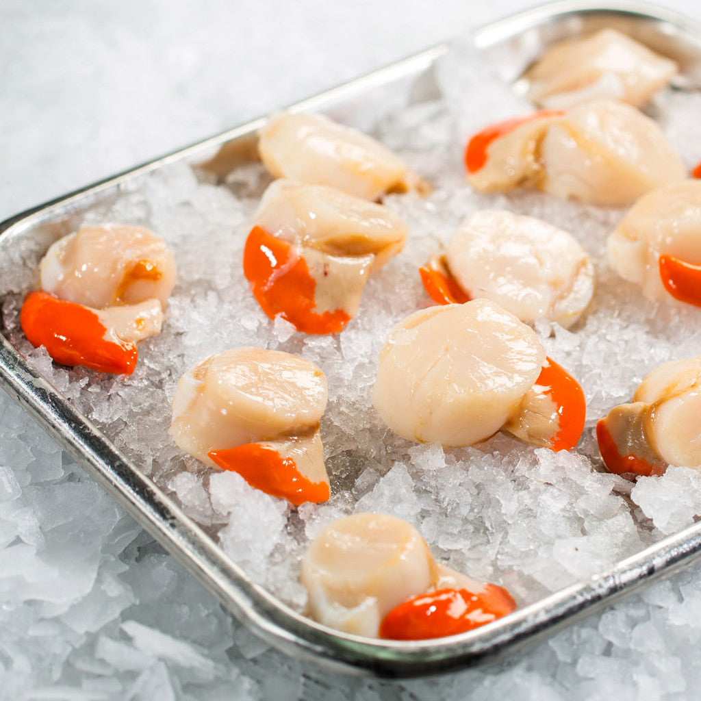 King Scallops (4-6 scallops per 250g pack)