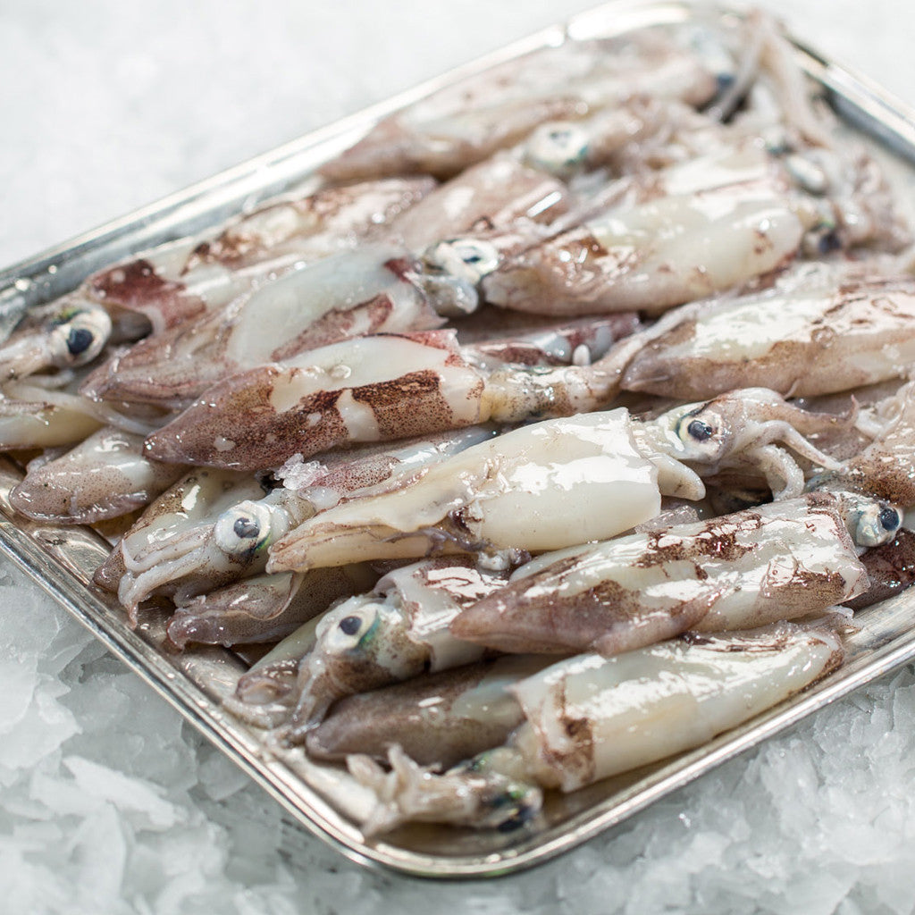 Squid (500g pack)